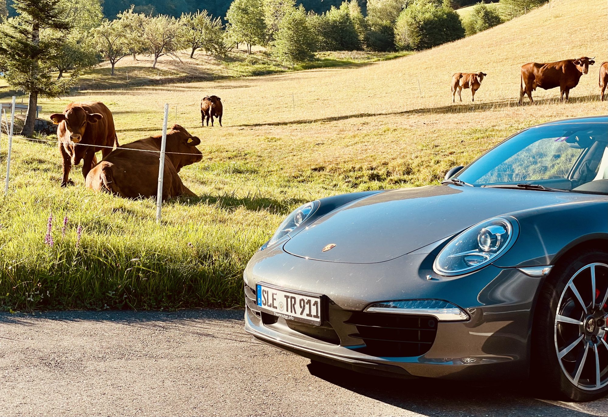 Porsche 911 im Schwarzwald / Foto: traumrouten.info