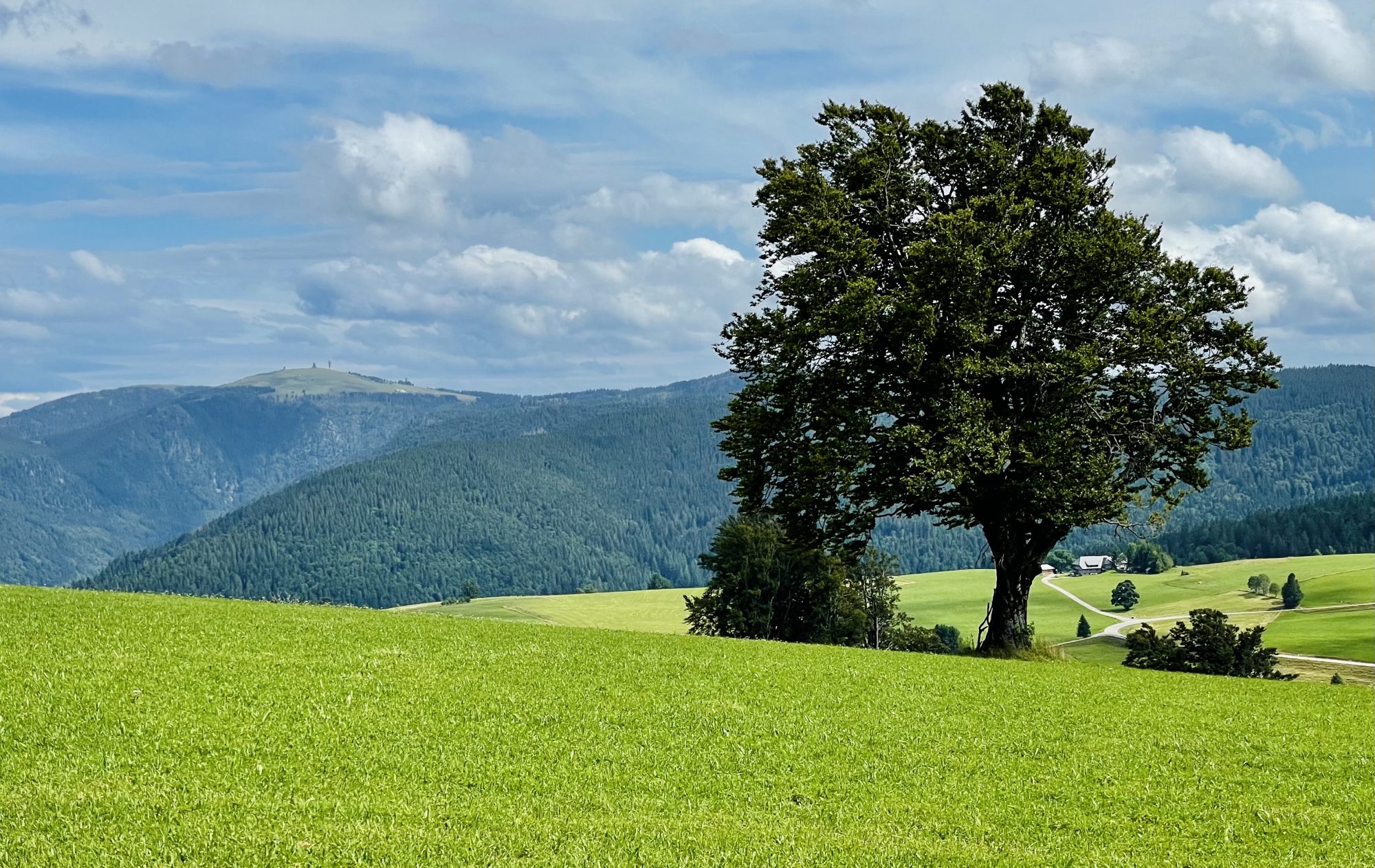 Ausblick vom Schauinsland in Richtung Feldberg / Foto: traumrouten.info